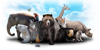 สวนสัตว์ (zoo)