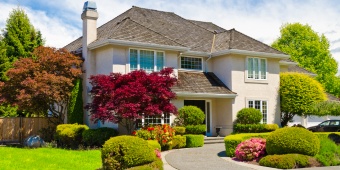 บ้านและรอบๆบ้าน (House and Around the House)