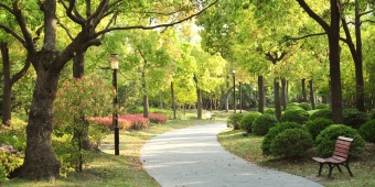 สวนสาธารณะ (park)