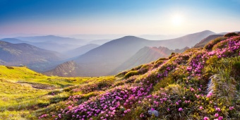 ธรรมชาติ (Natural)