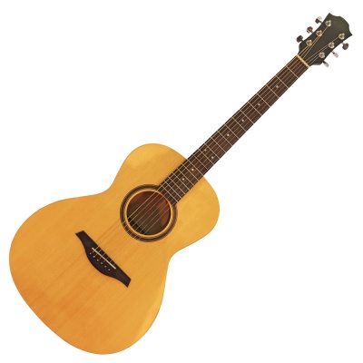 acoustic guitar