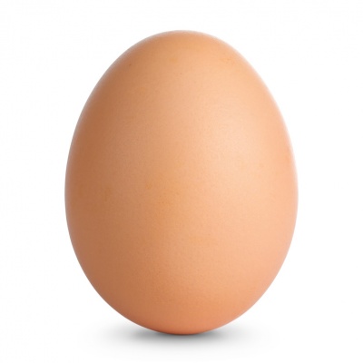 egg