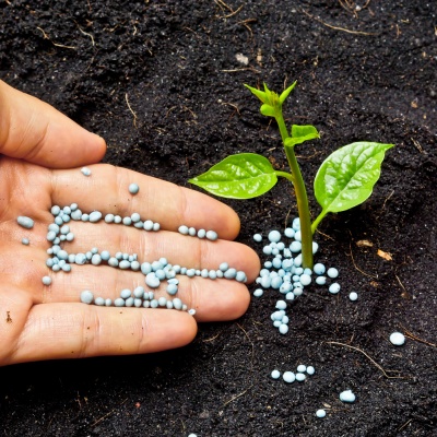 fertilizer