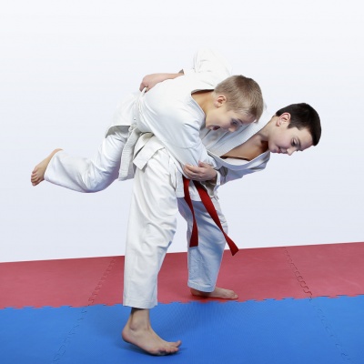 judo