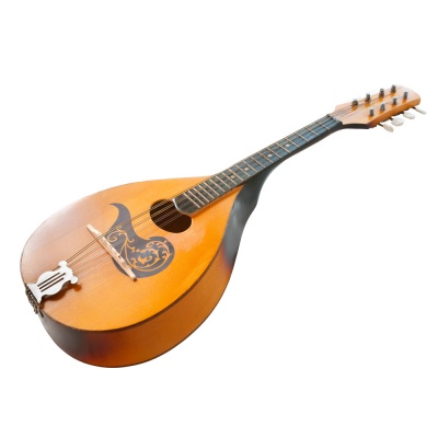 mandolin