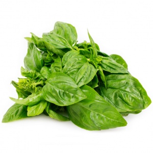 basil