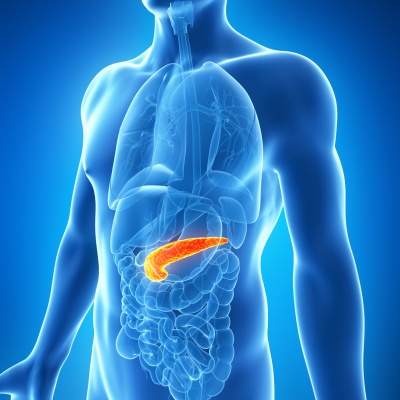 pancreas