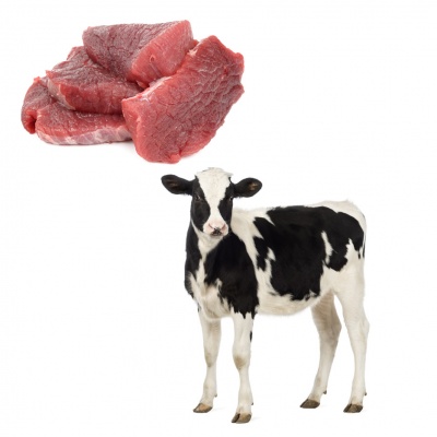 beef