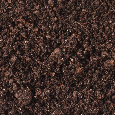 soil