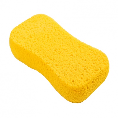sponge