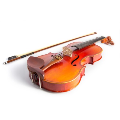 violin