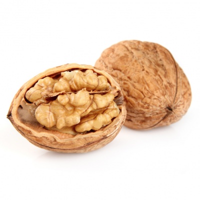 walnut