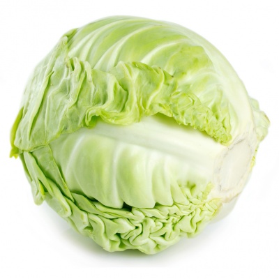 cabbage
