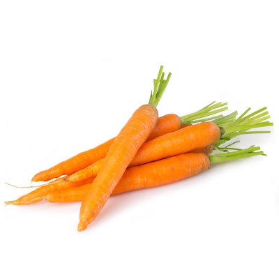 carrot